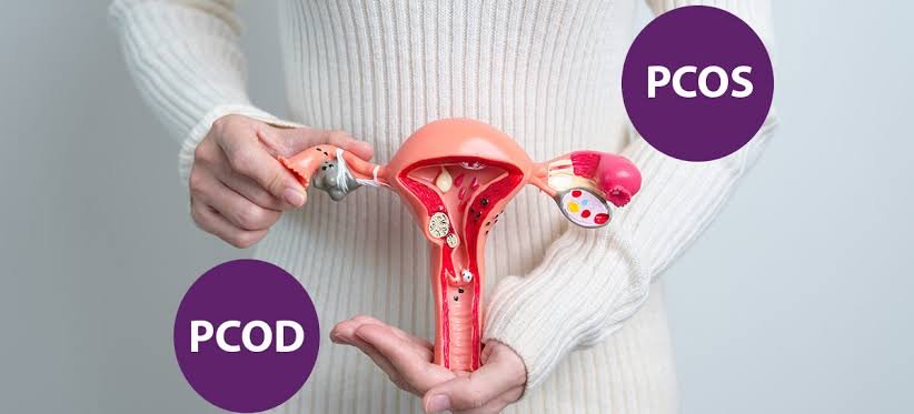 PCOS/PCOD Reversal Protocols